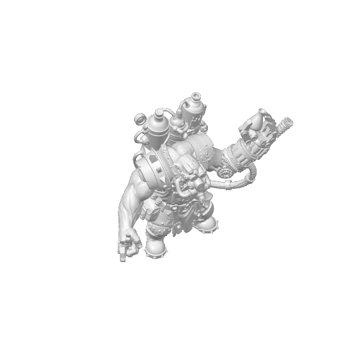 Print Image