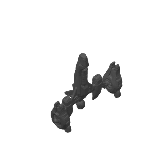 Print Image